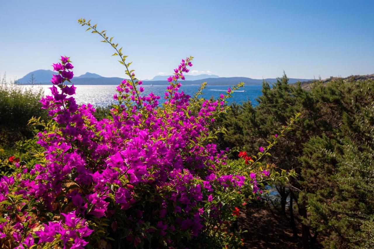 Splendido Appartamento Vista Mare Porto Rotondo Bagian luar foto